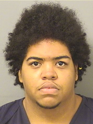  JUSTIN SMITHWARRICK Results from Palm Beach County Florida for  JUSTIN SMITHWARRICK