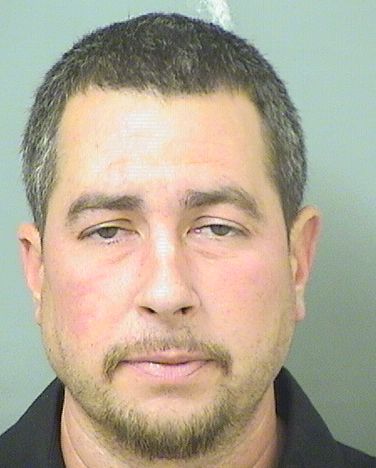  MICHAEL VINCENT DELOSA Results from Palm Beach County Florida for  MICHAEL VINCENT DELOSA