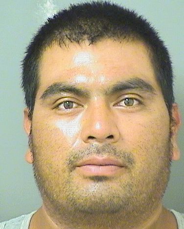  SELVIN NELTALI CANOLOPEZ Results from Palm Beach County Florida for  SELVIN NELTALI CANOLOPEZ
