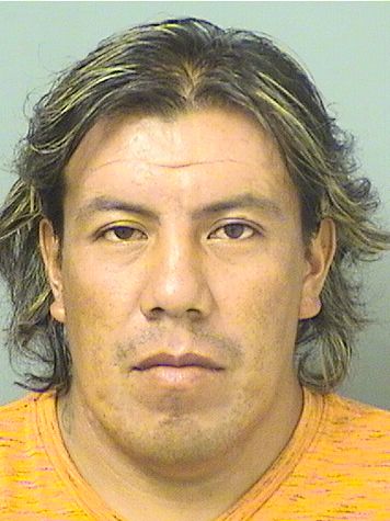  DONALDO MIGUEL DOMINGO Results from Palm Beach County Florida for  DONALDO MIGUEL DOMINGO