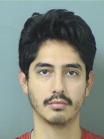 ANDRE Z SILVA Results from Palm Beach County Florida for ANDRE Z SILVA ANDRE Z SILVA Results from Palm Beach County Florida for ANDRE Z SILVA