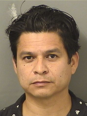 MARIO ERNESTO TORRESAMAYA Results from Palm Beach County Florida for MARIO ERNESTO TORRESAMAYA MARIO ERNESTO TORRESAMAYA Results from Palm Beach County Florida for MARIO ERNESTO TORRESAMAYA