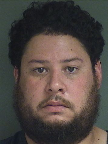  MARTIN JEANFRANCO LLANOS Results from Palm Beach County Florida for  MARTIN JEANFRANCO LLANOS