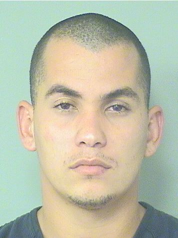  YORJAN DELACARDIAD BANOSSUAREZ Results from Palm Beach County Florida for  YORJAN DELACARDIAD BANOSSUAREZ