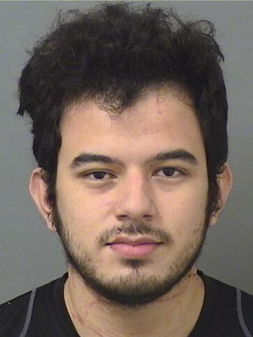  CARLOS EDWIN MARTINEZ Results from Palm Beach County Florida for  CARLOS EDWIN MARTINEZ