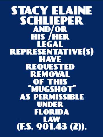 STACY ELAINE SCHLIEPER Results from Palm Beach County Florida for STACY ELAINE SCHLIEPER STACY ELAINE SCHLIEPER Results from Palm Beach County Florida for STACY ELAINE SCHLIEPER