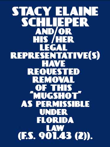  STACY ELAINE SCHLIEPER Resultados de la busqueda para Palm Beach County Florida para  STACY ELAINE SCHLIEPER