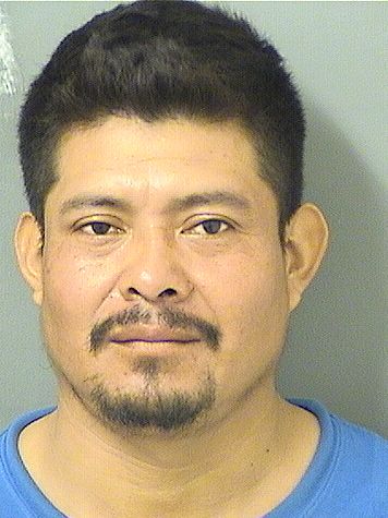  NELSO ESAU PEREZMENDEZ Resultados de la busqueda para Palm Beach County Florida para  NELSO ESAU PEREZMENDEZ