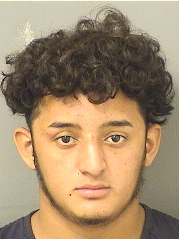  RONAL ALEX MURILLORUIZ Results from Palm Beach County Florida for  RONAL ALEX MURILLORUIZ