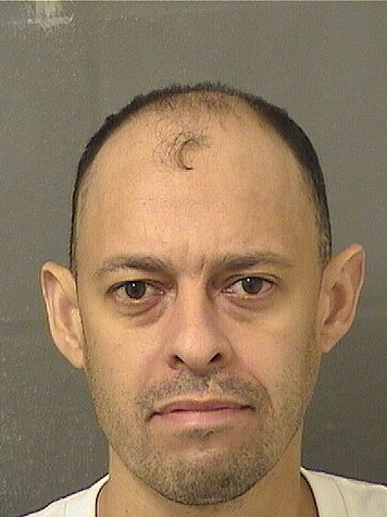  DAVID RAMIREZ Results from Palm Beach County Florida for  DAVID RAMIREZ