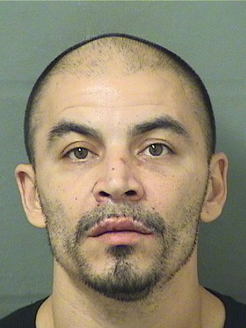 RICHARD TORRES Results from Palm Beach County Florida for RICHARD TORRES RICHARD TORRES Results from Palm Beach County Florida for RICHARD TORRES