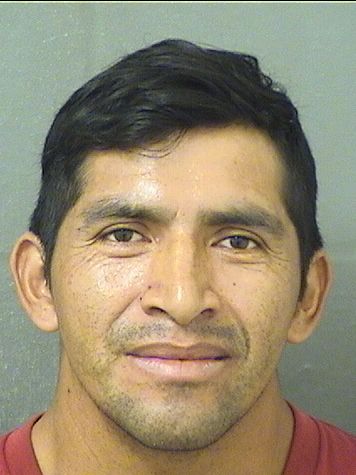 SAUL I LOPEZ Photos For  SAUL I LOPEZ  SAUL I LOPEZ Photo For  SAUL I LOPEZ