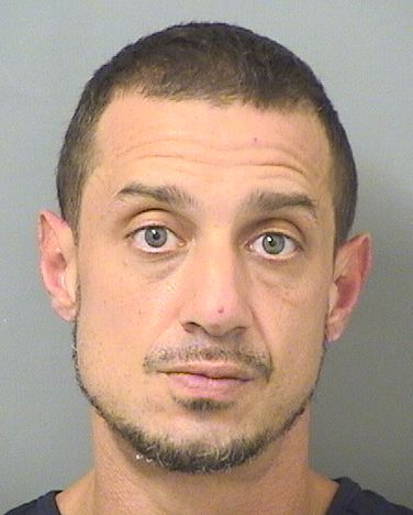  LAWRENCE ANTONIO MITCHELL Results from Palm Beach County Florida for  LAWRENCE ANTONIO MITCHELL