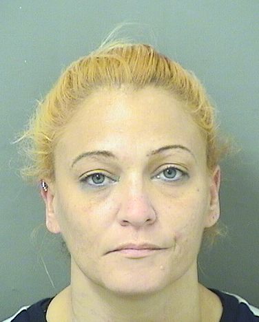  LIDIA RIVERA LEON Results from Palm Beach County Florida for  LIDIA RIVERA LEON