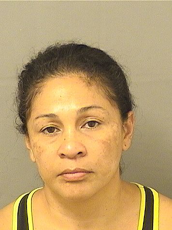  GLADYS E HERNANDEZ Results from Palm Beach County Florida for  GLADYS E HERNANDEZ