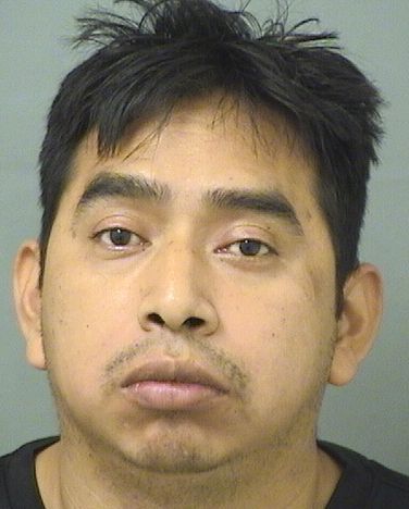  BELISARIO MATEO Resultados de la busqueda para Palm Beach County Florida para  BELISARIO MATEO