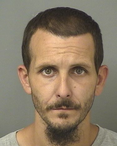  DANIEL SEBASTIAN COLANGELO Results from Palm Beach County Florida for  DANIEL SEBASTIAN COLANGELO