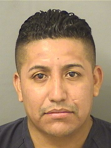  LEOPOLDO GARCIARICO Results from Palm Beach County Florida for  LEOPOLDO GARCIARICO