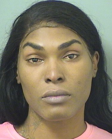  WILLIAM MCCOY Results from Palm Beach County Florida for  WILLIAM MCCOY