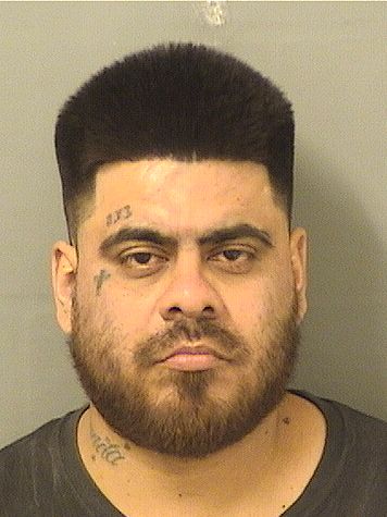  MONICO Q HERNANDEZ Results from Palm Beach County Florida for  MONICO Q HERNANDEZ