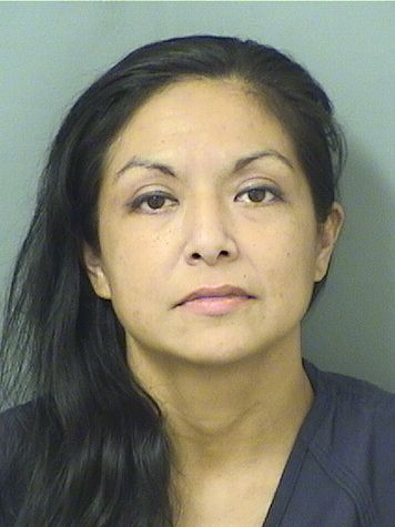  ELSA RINCON Results from Palm Beach County Florida for  ELSA RINCON
