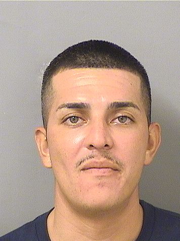  FRANCISCO JAVIER ZAVALA Results from Palm Beach County Florida for  FRANCISCO JAVIER ZAVALA