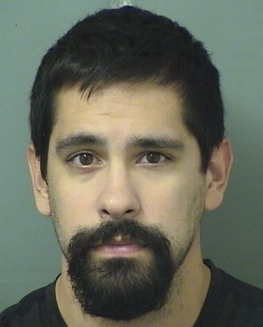 DAMON RICHARD JOSE RODRIGUEZ Resultados de la busqueda para Palm Beach County Florida para  DAMON RICHARD JOSE RODRIGUEZ
