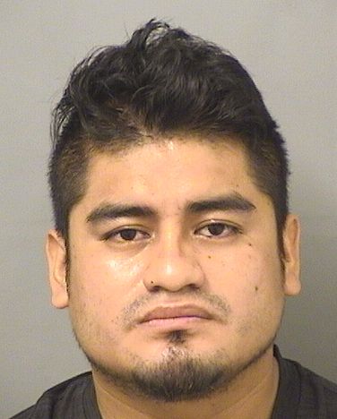  ROQUE SANCHEZPEREZ Resultados de la busqueda para Palm Beach County Florida para  ROQUE SANCHEZPEREZ