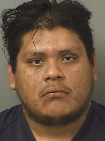 PASCUAL J JIMINEZ Results from Palm Beach County Florida for PASCUAL J JIMINEZ PASCUAL J JIMINEZ Results from Palm Beach County Florida for PASCUAL J JIMINEZ