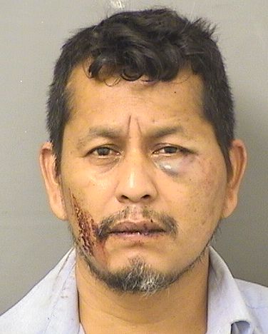  RAUL MAYA Resultados de la busqueda para Palm Beach County Florida para  RAUL MAYA