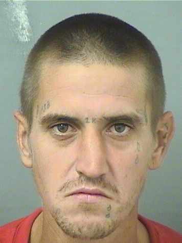  DOUGLAS SCOTT SHELTON Results from Palm Beach County Florida for  DOUGLAS SCOTT SHELTON