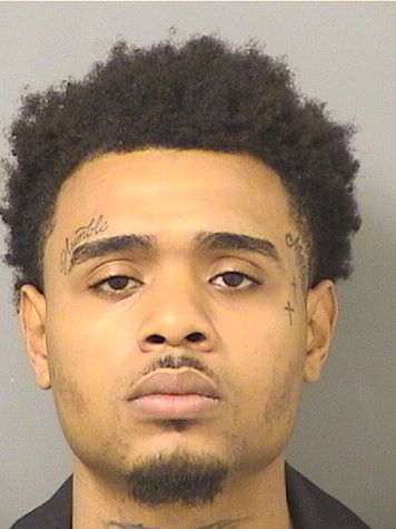  MARIANO MAURICE PIERRE Results from Palm Beach County Florida for  MARIANO MAURICE PIERRE