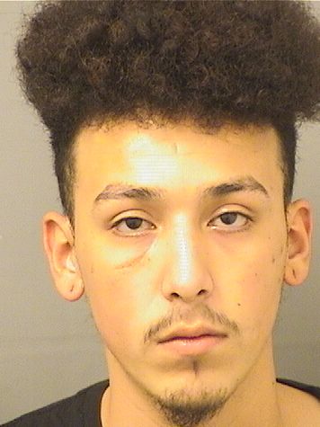  JOSE BRIAN MOLINA Resultados de la busqueda para Palm Beach County Florida para  JOSE BRIAN MOLINA