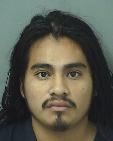  FRANCISCO TOMAS PASCUAL Results from Palm Beach County Florida for  FRANCISCO TOMAS PASCUAL