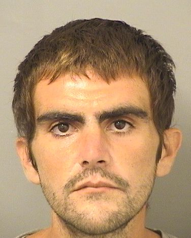  MICHAEL JOSEPH CAPASSO Results from Palm Beach County Florida for  MICHAEL JOSEPH CAPASSO