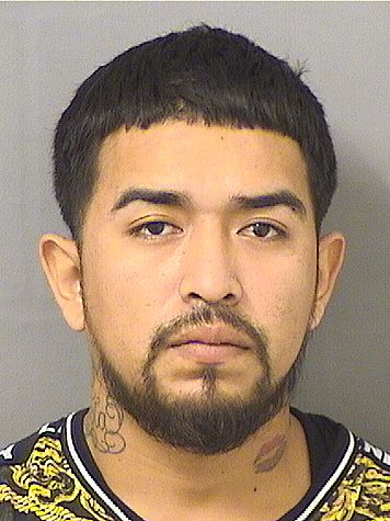  LUIS F RUIZGARCIA Results from Palm Beach County Florida for  LUIS F RUIZGARCIA