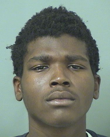  PHIDENEY JEAN LOUIS Results from Palm Beach County Florida for  PHIDENEY JEAN LOUIS