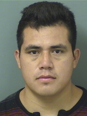  ROSELIN MENDEZ CAMPOSECO MENDEZ Resultados de la busqueda para Palm Beach County Florida para  ROSELIN MENDEZ CAMPOSECO MENDEZ