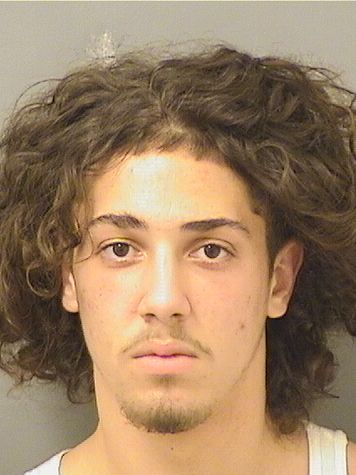  GIOVANNI SEBASTIAN CASABLANCA Results from Palm Beach County Florida for  GIOVANNI SEBASTIAN CASABLANCA