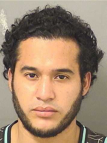  HENRY ALEXANDER REYES FLORES Results from Palm Beach County Florida for  HENRY ALEXANDER REYES FLORES