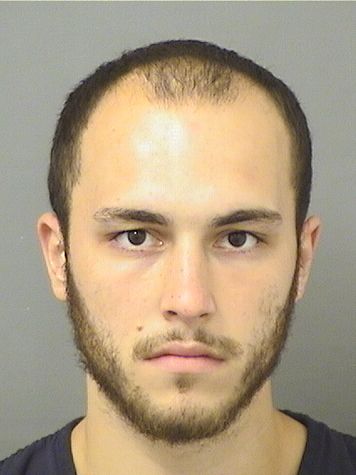  RYAN CHARLES HIBBARD Results from Palm Beach County Florida for  RYAN CHARLES HIBBARD