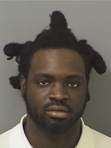  IAN DONALD BURKE Results from Palm Beach County Florida for  IAN DONALD BURKE