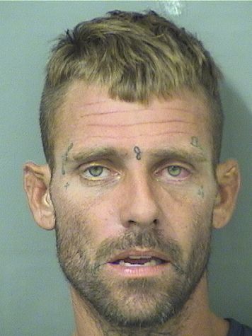  JEFFREY MICHAEL STOUT Results from Palm Beach County Florida for  JEFFREY MICHAEL STOUT