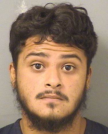  HENRY L ANZUETO Results from Palm Beach County Florida for  HENRY L ANZUETO