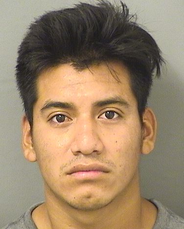  ROYLIN GARCIA Results from Palm Beach County Florida for  ROYLIN GARCIA
