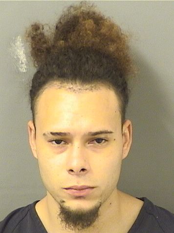  ELISEO JOSE NIEVESTORRES Results from Palm Beach County Florida for  ELISEO JOSE NIEVESTORRES