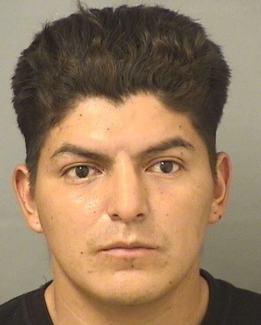  OLIVERT HERNANDEZ OROPEZA Results from Palm Beach County Florida for  OLIVERT HERNANDEZ OROPEZA