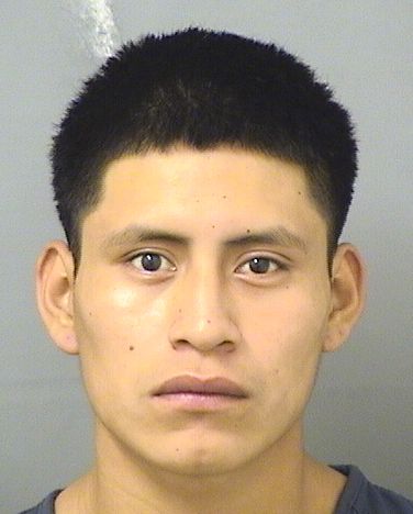  ROMAN MIGUEL AJANELITZEP Photo For  ROMAN MIGUEL AJANELITZEP