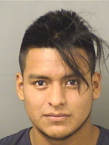  MATEO GUSTAVO Photo For  MATEO GUSTAVO