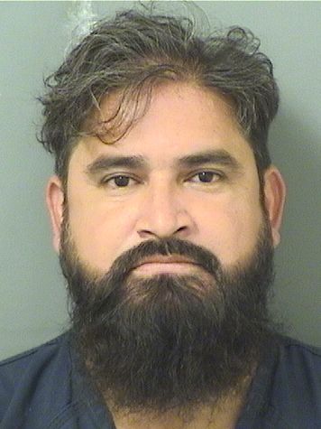  DAVID OMAR ALEMAN Results from Palm Beach County Florida for  DAVID OMAR ALEMAN